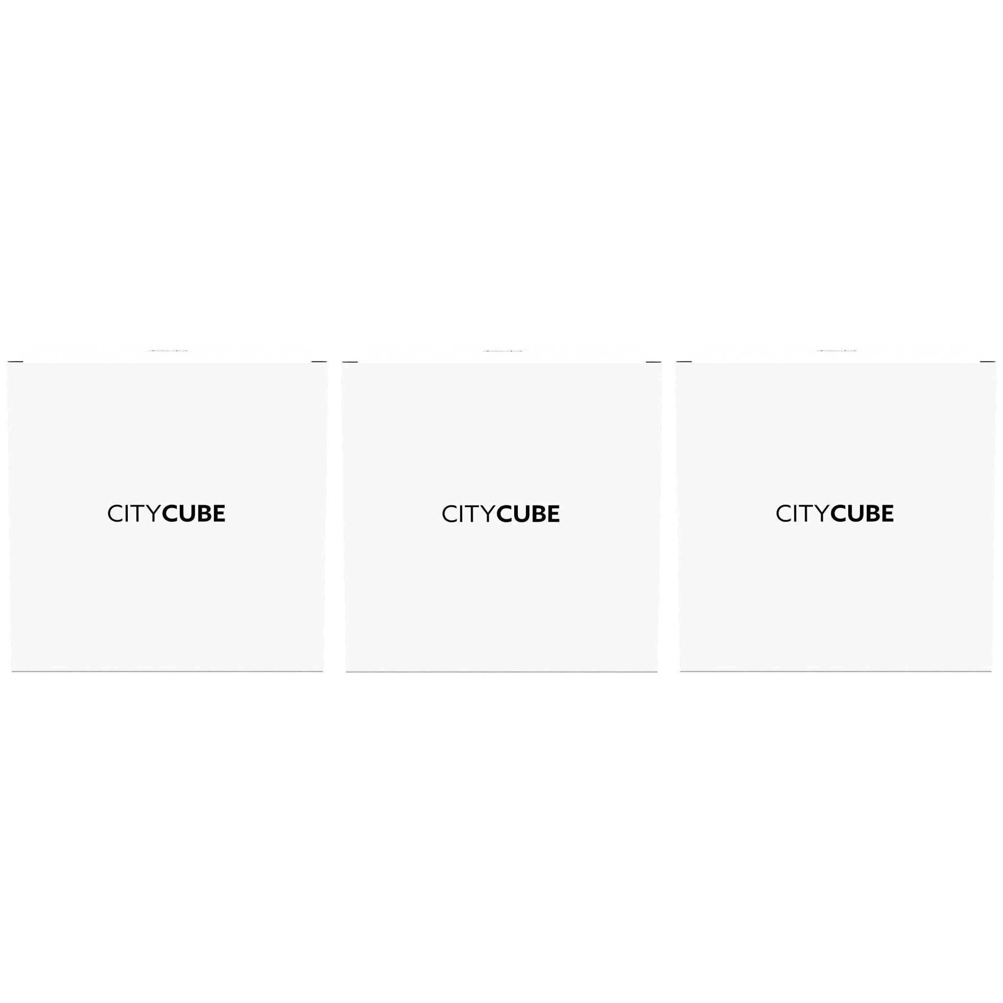 CUBE Trio 3D City Model - CITYFRAMES